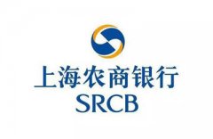 凱翔高壓負(fù)載守護(hù)上海農(nóng)商銀行數(shù)據(jù)安全